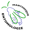 Logo Martinique Entomologie