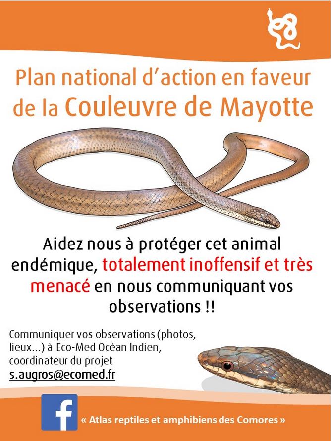 affiche couleuvre mayotte