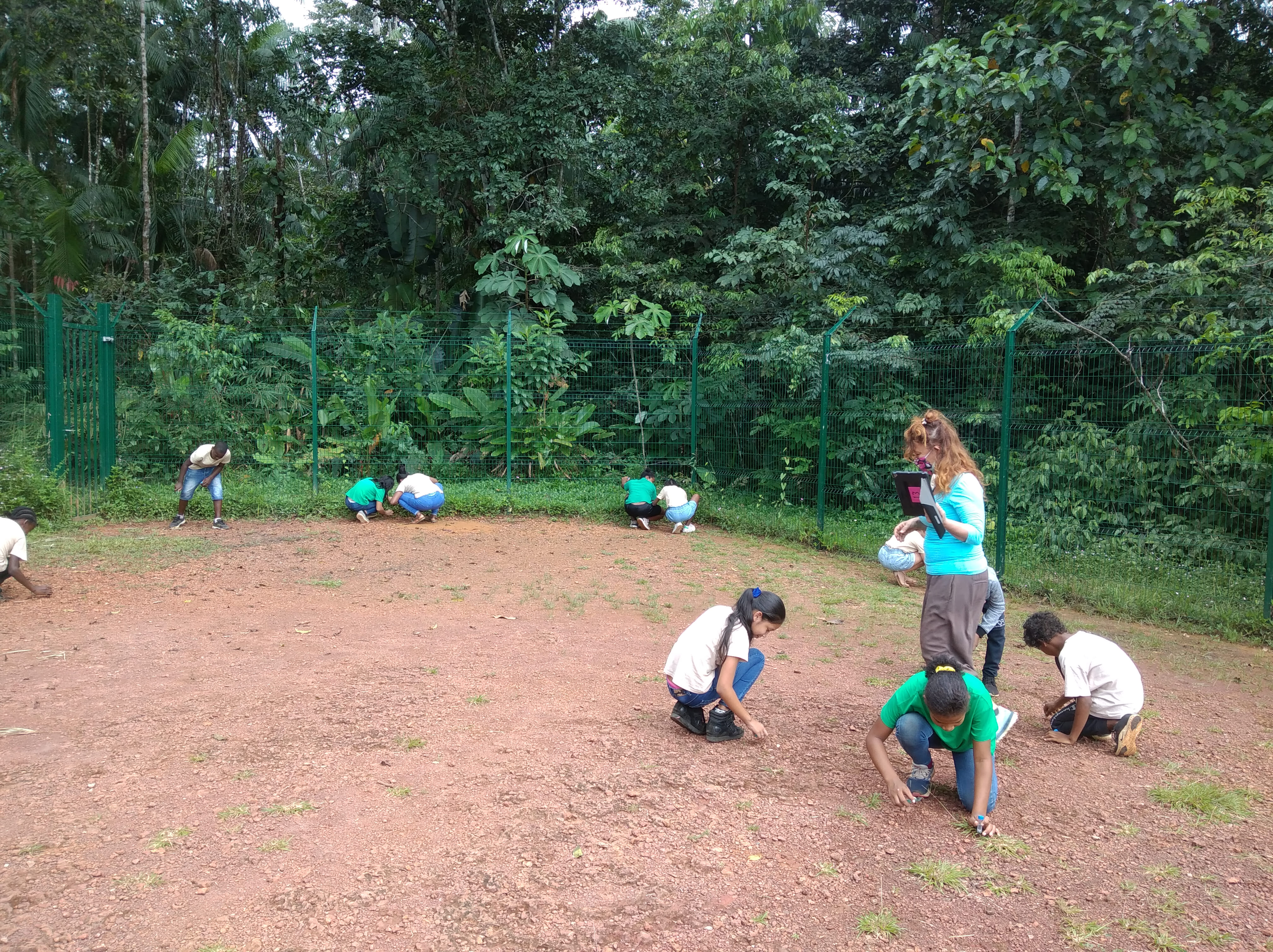 Classe de CM2 de l'école Augustine Duchange (Roura) en pleine chasse aux fourmis © Marilou Hircq