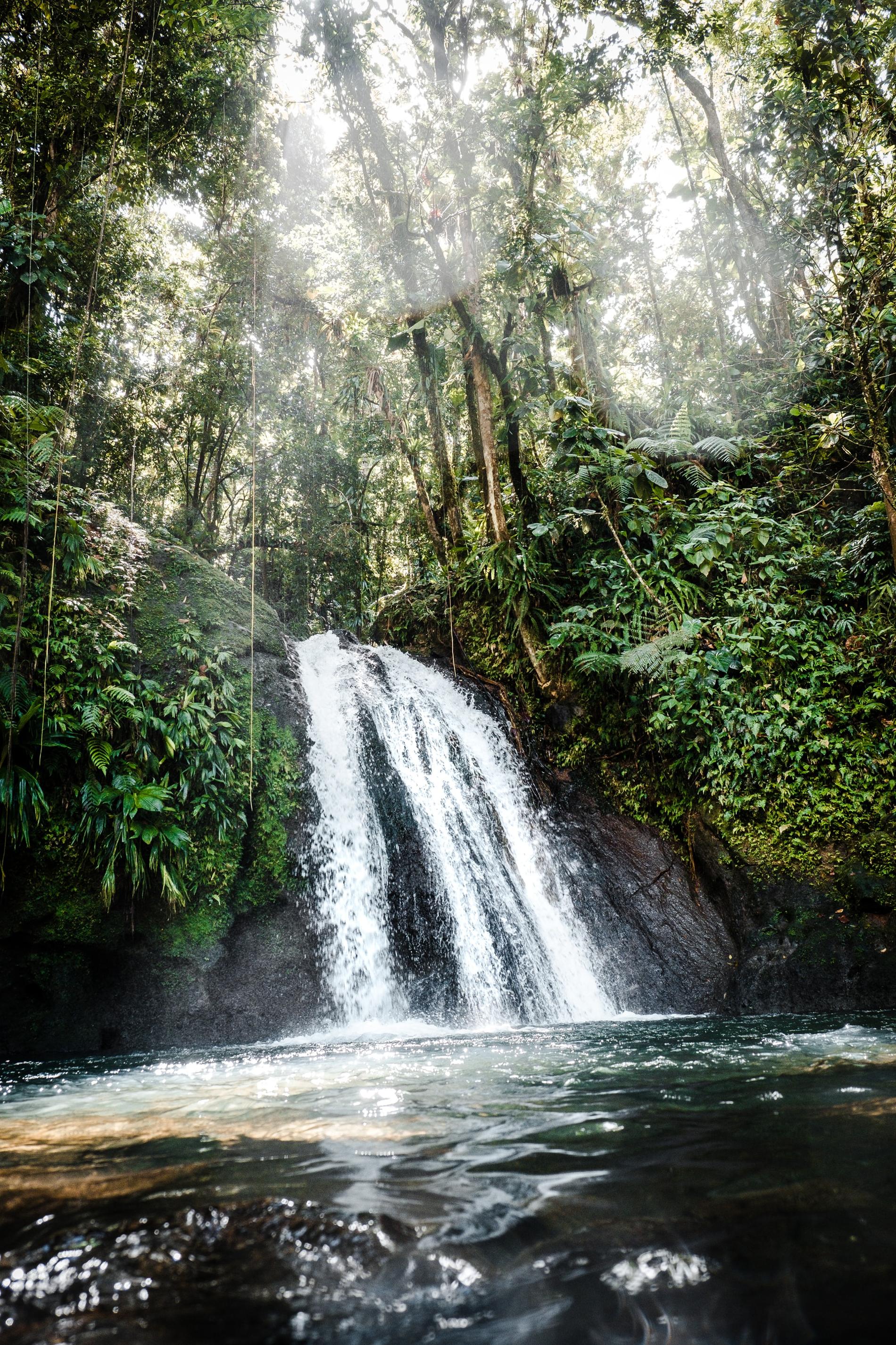 La cascade aux écrevisses dans la forêt humide de Guadeloupe © Daniel Öberg - Unsplash