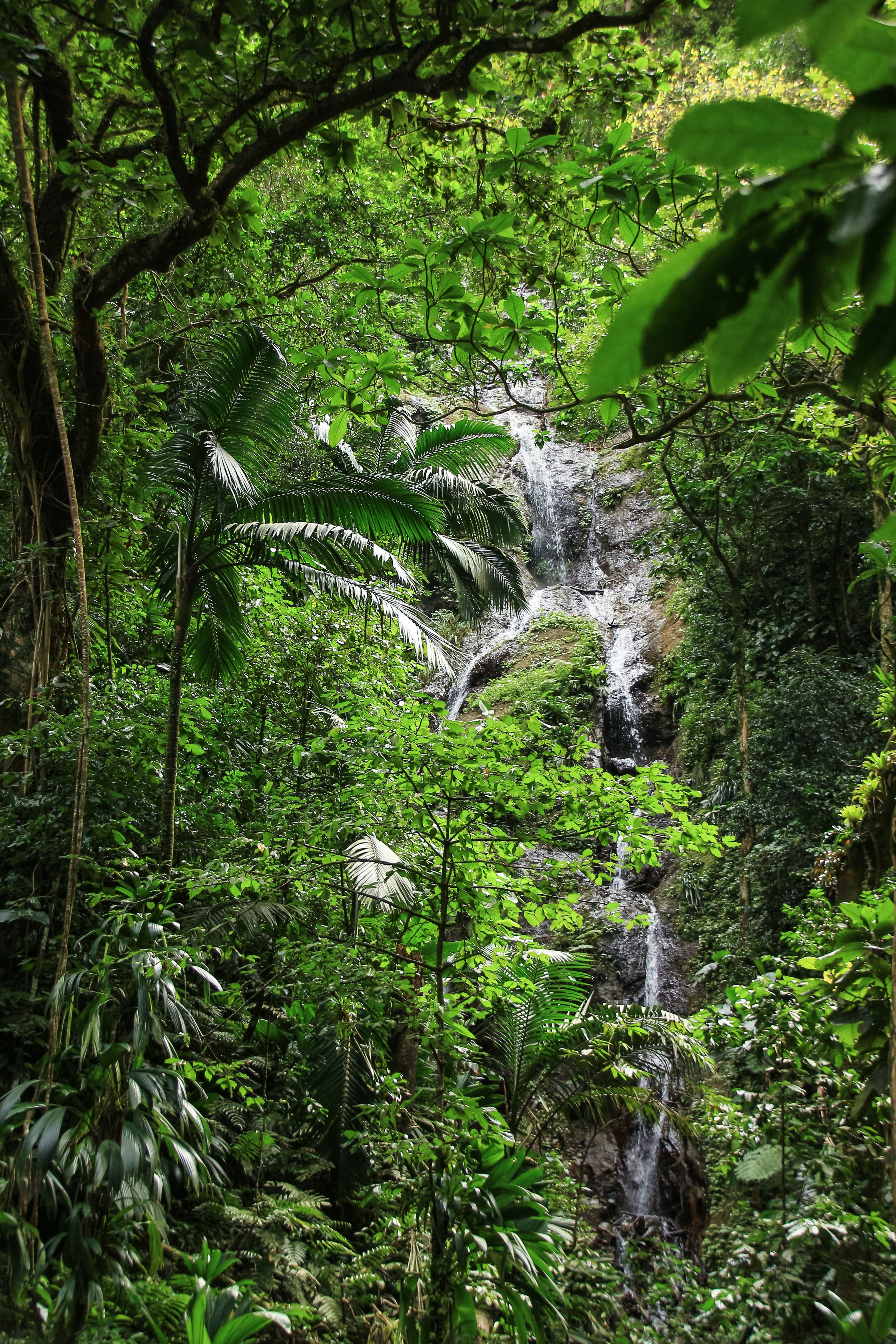 Cascade dans le Parc Naturel Régional de la Martinique © Fabien Lefebvre - Association ACWAA