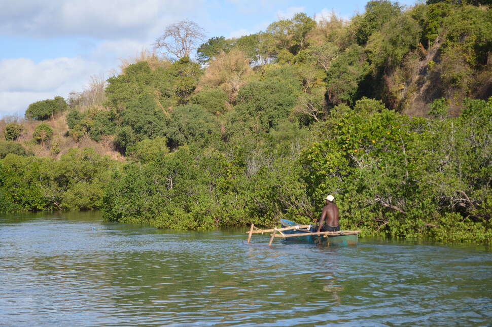 Pêcheur sur une pirogue dans la mangrove © Fanny Cautain / Office français de la biodiversité