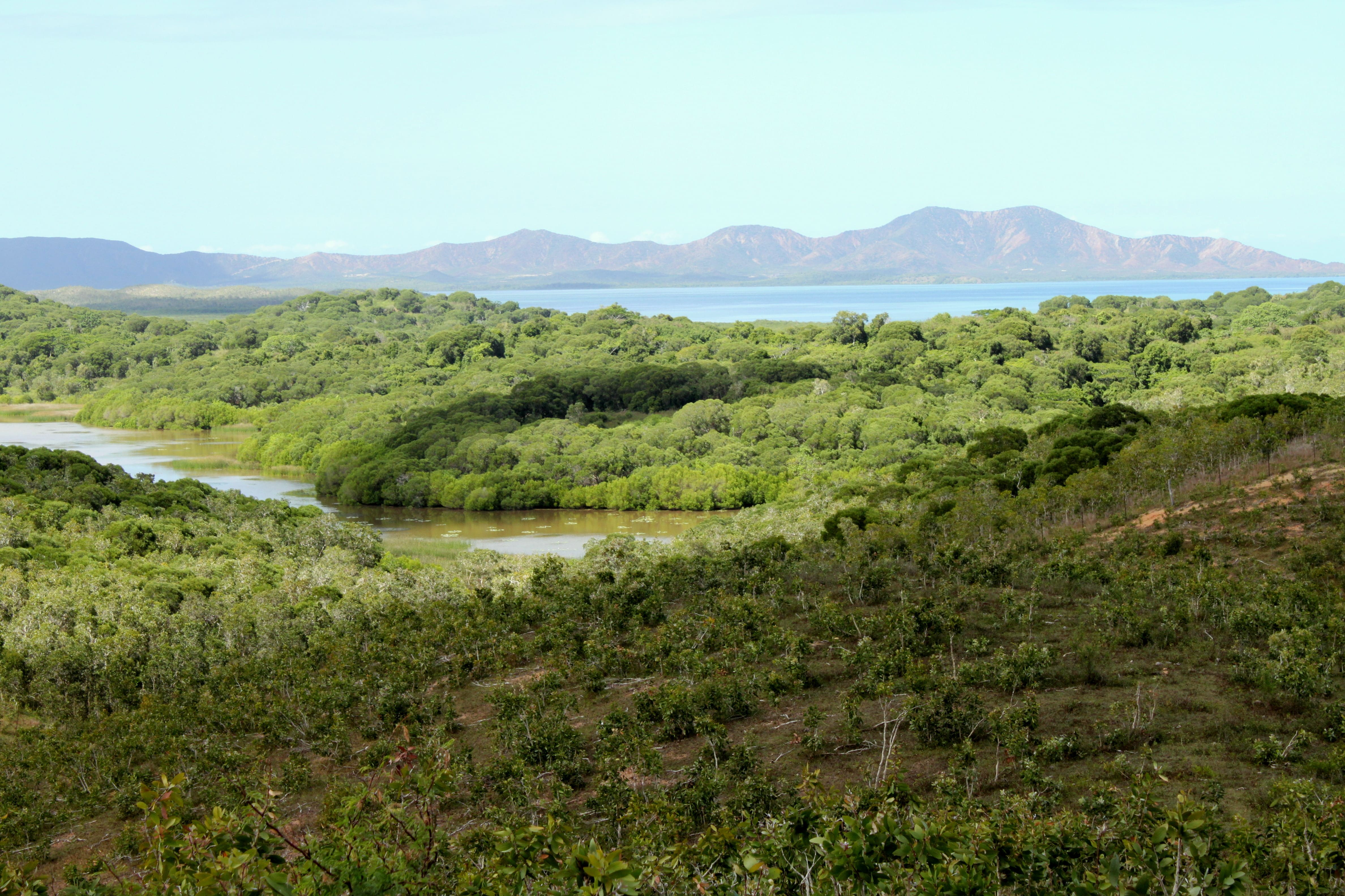 Forêt sèche de Malhec © Conservatoire d'espaces naturels de Nouvelle-Calédonie