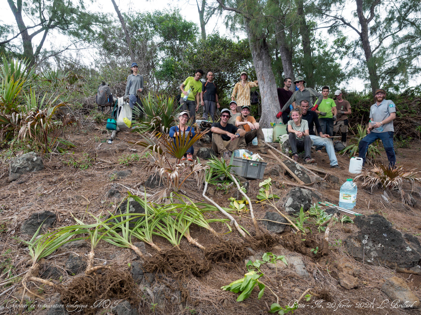 Chantier bénévole de restauration de la végétation © L. Brillard - Nature Océan Indien