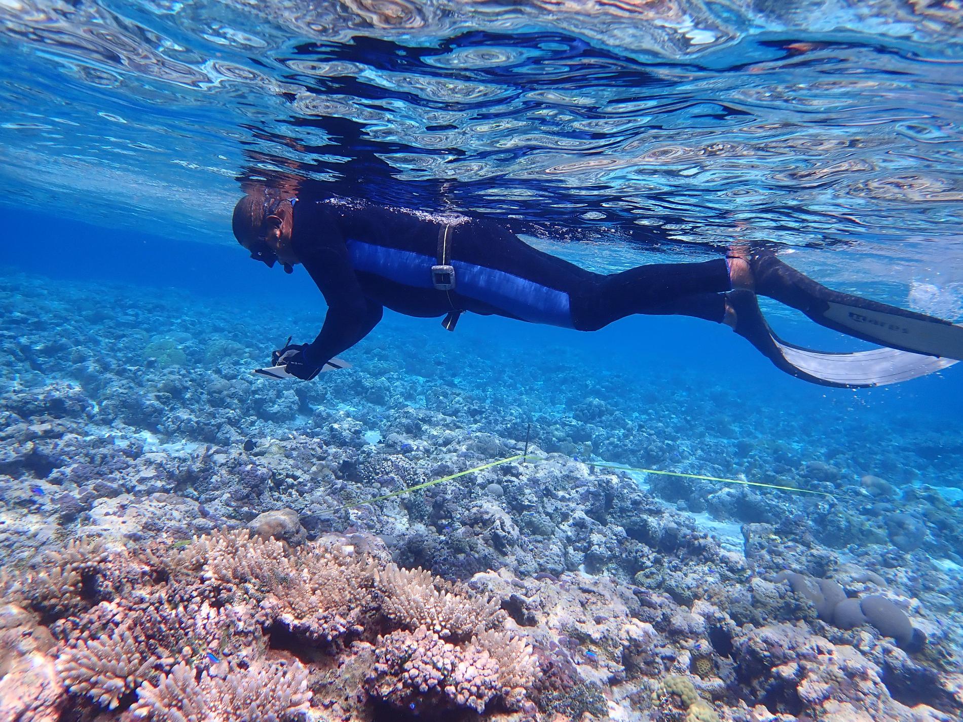 Suivi des récifs coralliens à Wallis-et-Futuna © Sandrine Job