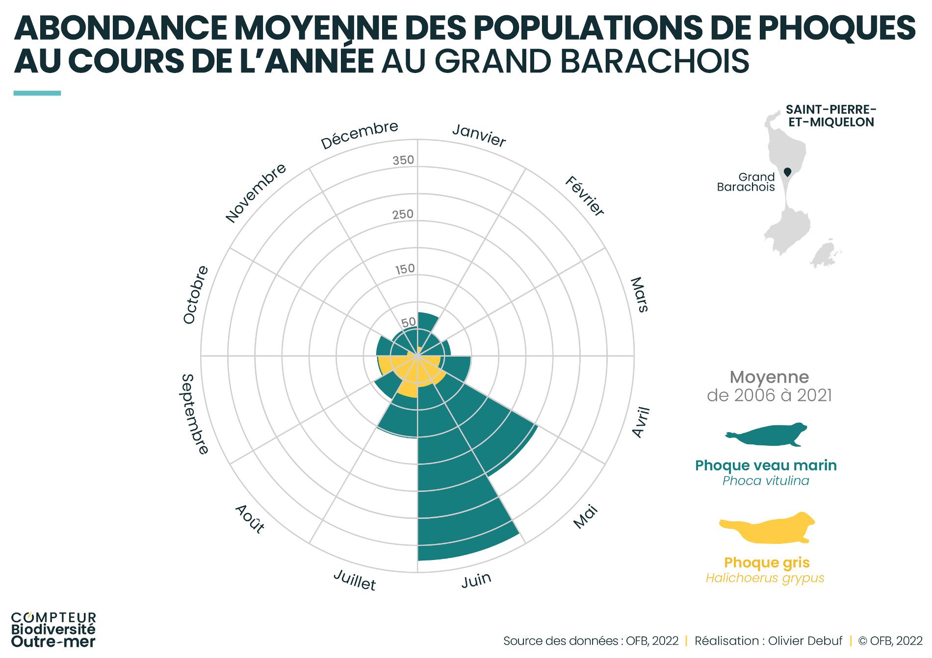 Abondance annuelle des phoques au Grand Barachois © Compteur biodiversité outre-mer