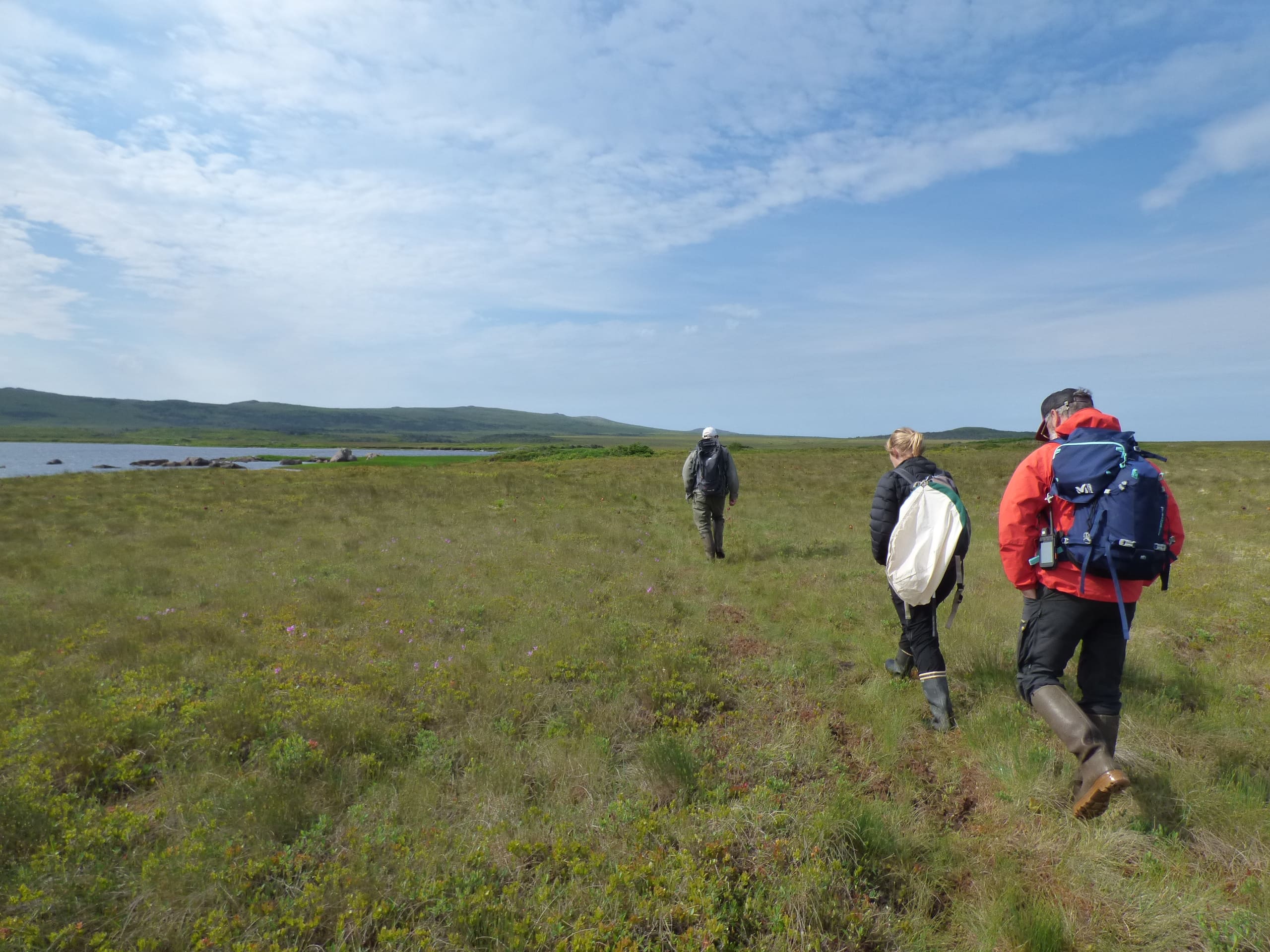 Avec Roger Etcheberry sur la tourbière, Miquelon © Doriane Blottière - Patrinat