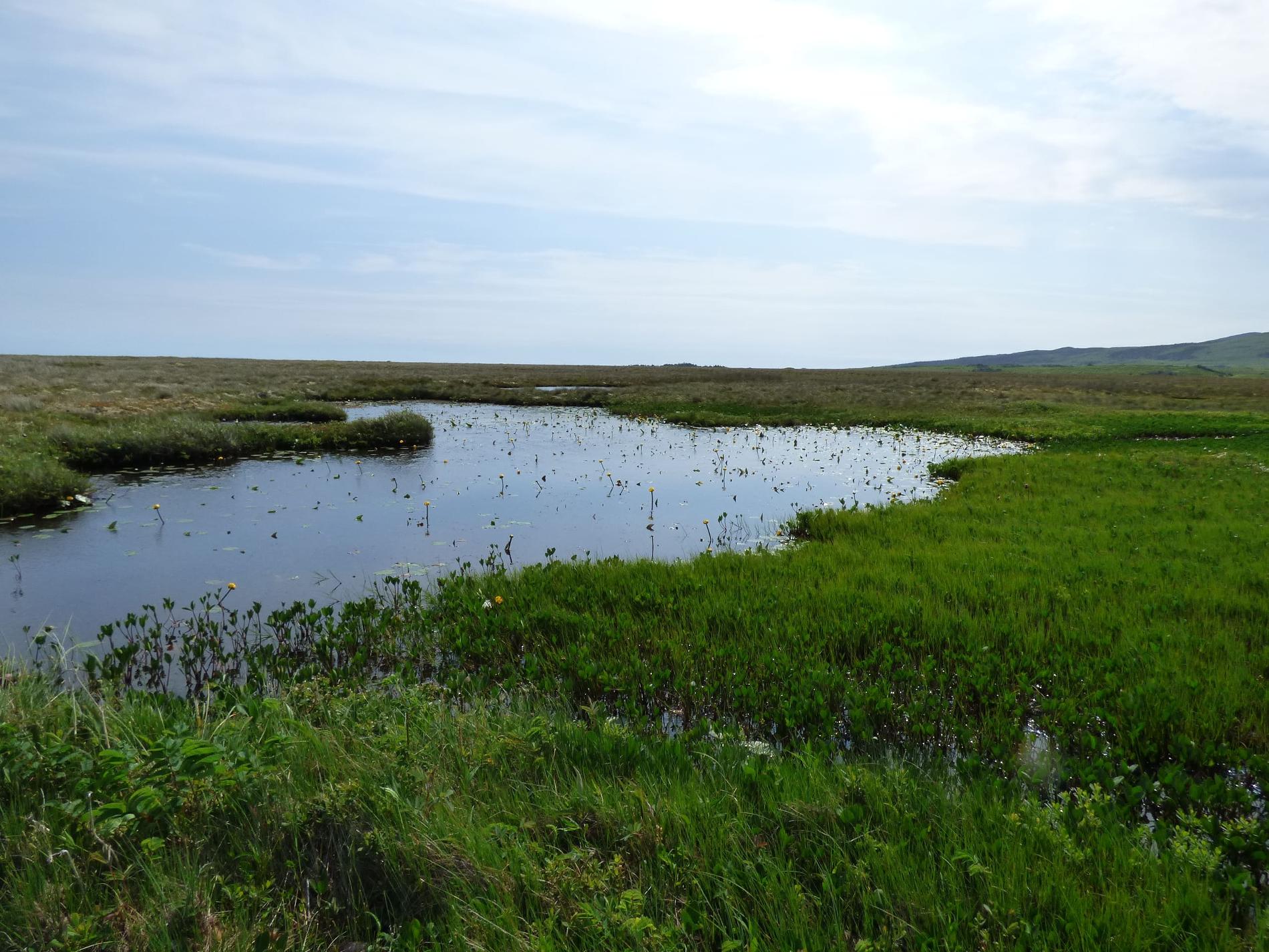 Plan d'eau au milieu de la tourbière © Doriane Blottière - Patrinat