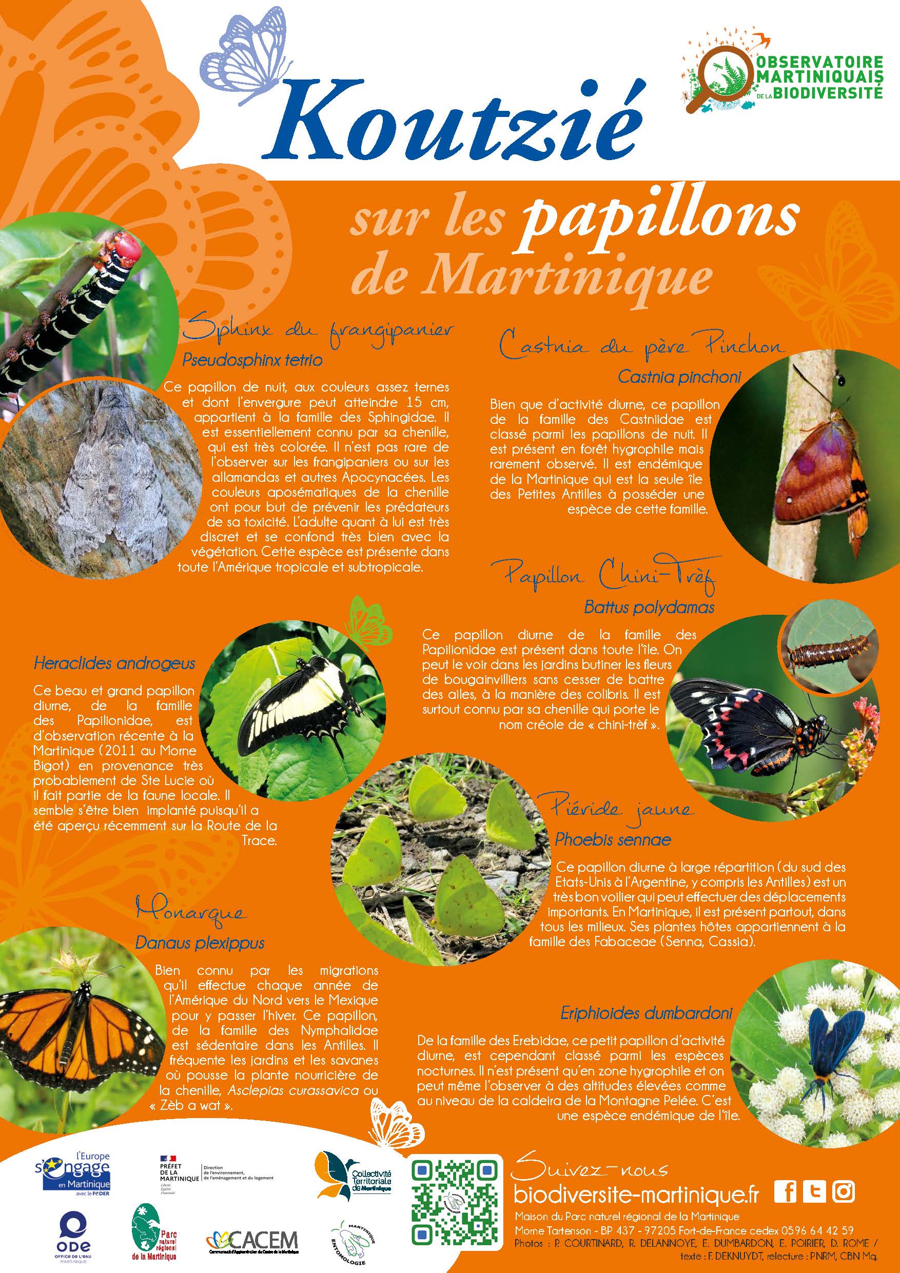 Poster *Koutzié* sur les papillons de Martinique © PNRM