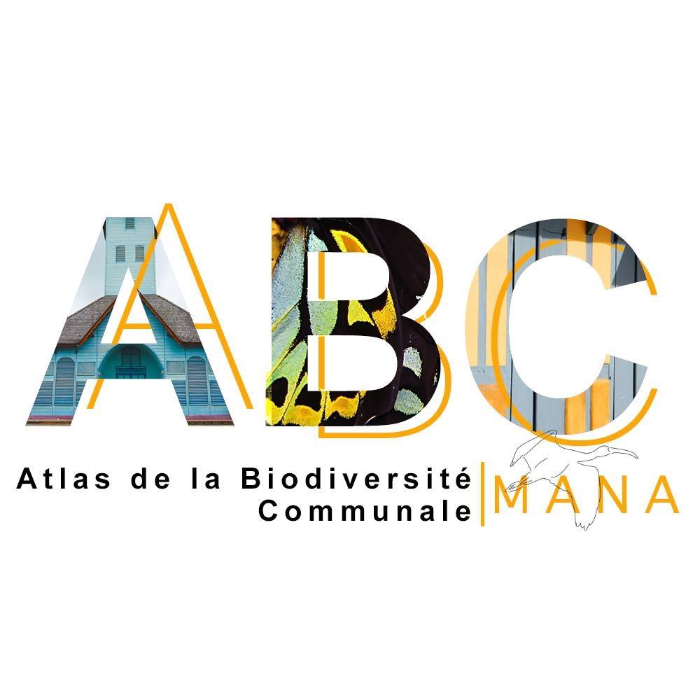 logo ABC Mana
