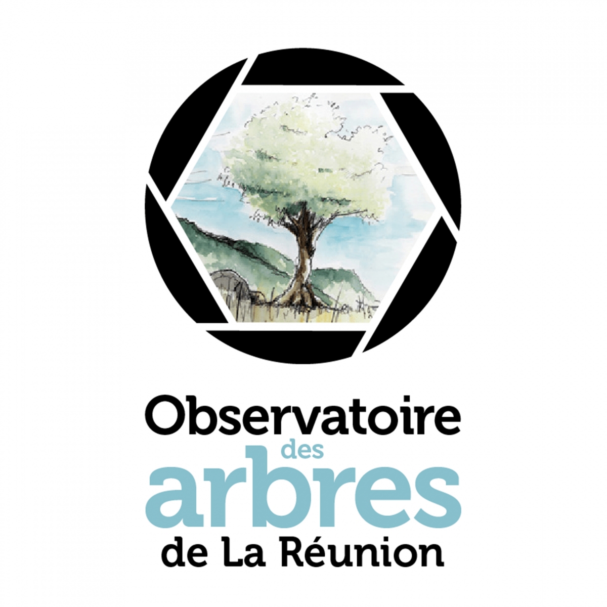 observatoire des arbres de La Réunion