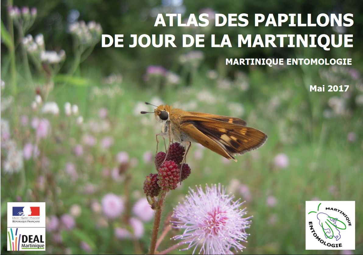 Atlas papillons de jour de Martinique