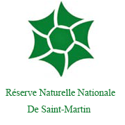 logo RNN St Martin
