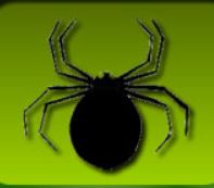 logo obs araignées