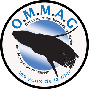 Logo OMMAG