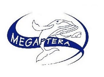 logo Megaptera