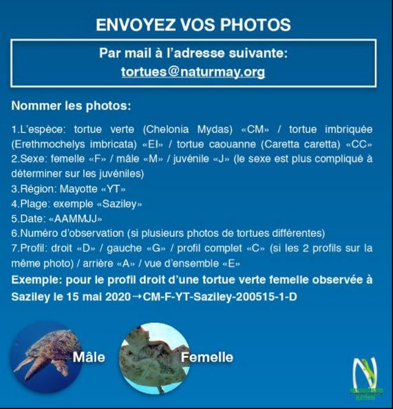 consignes photo ID Mayotte