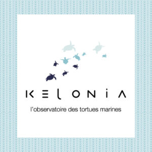 Kelonia