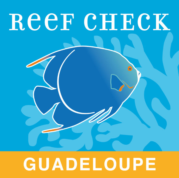 Logo Reef Check Guadeloupe