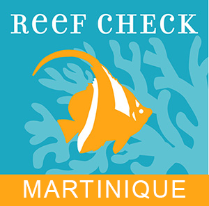 logo Reef Check Martinique