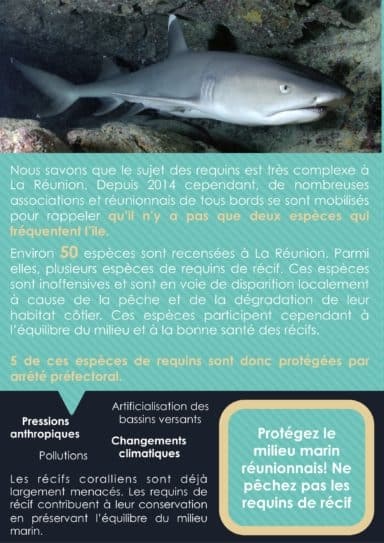 Brochure sensibilisation requins réunion Shark Citizen 