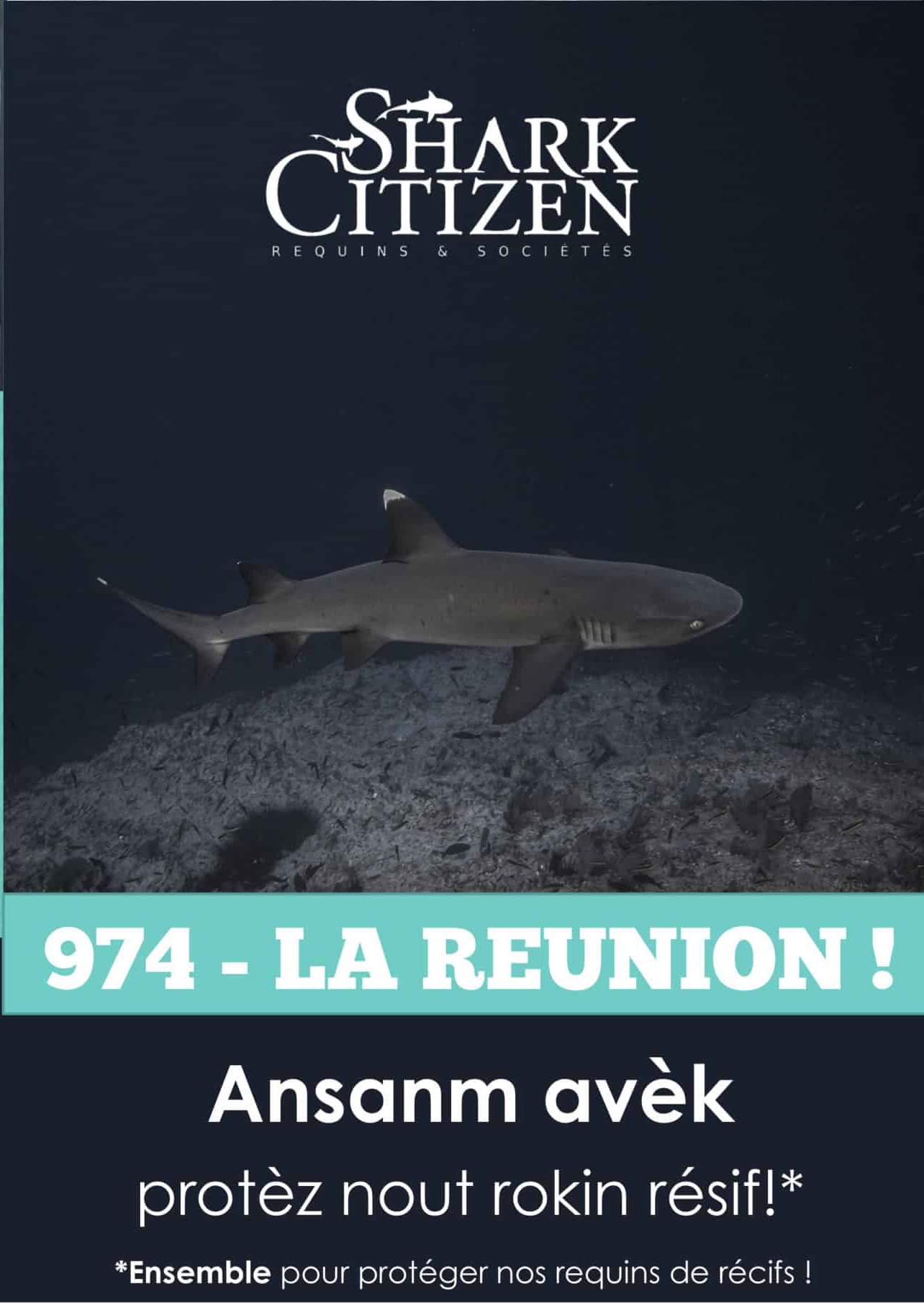 Brochure sensibilisation requins réunion Shark Citizen 