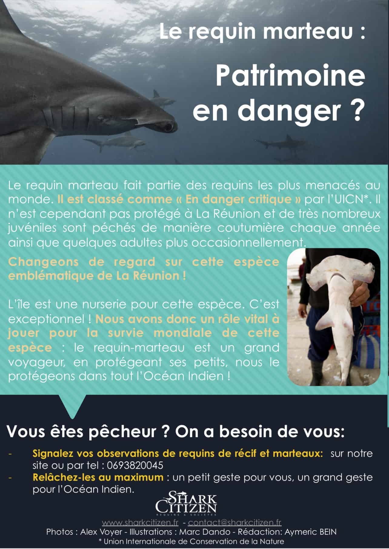 Brochure sensibilisation requins réunion Shark Citizen 