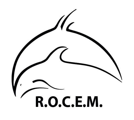logo ROCEM