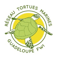 logo Reseau tortues guadeloupe