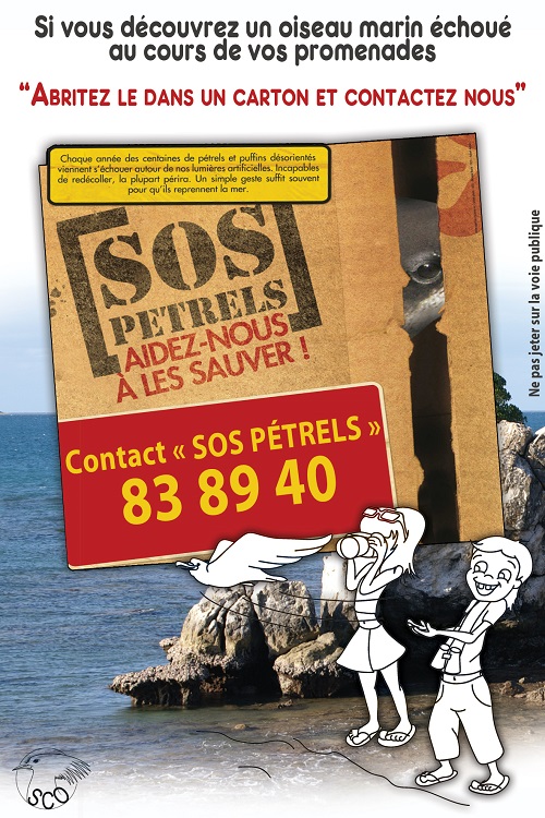 sos pétrels affiche