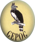 logo GEPOG