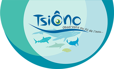 logo TsiÔno