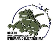 logo reseau iguanes