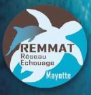 logo REMMAT