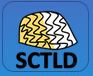 SCTLD