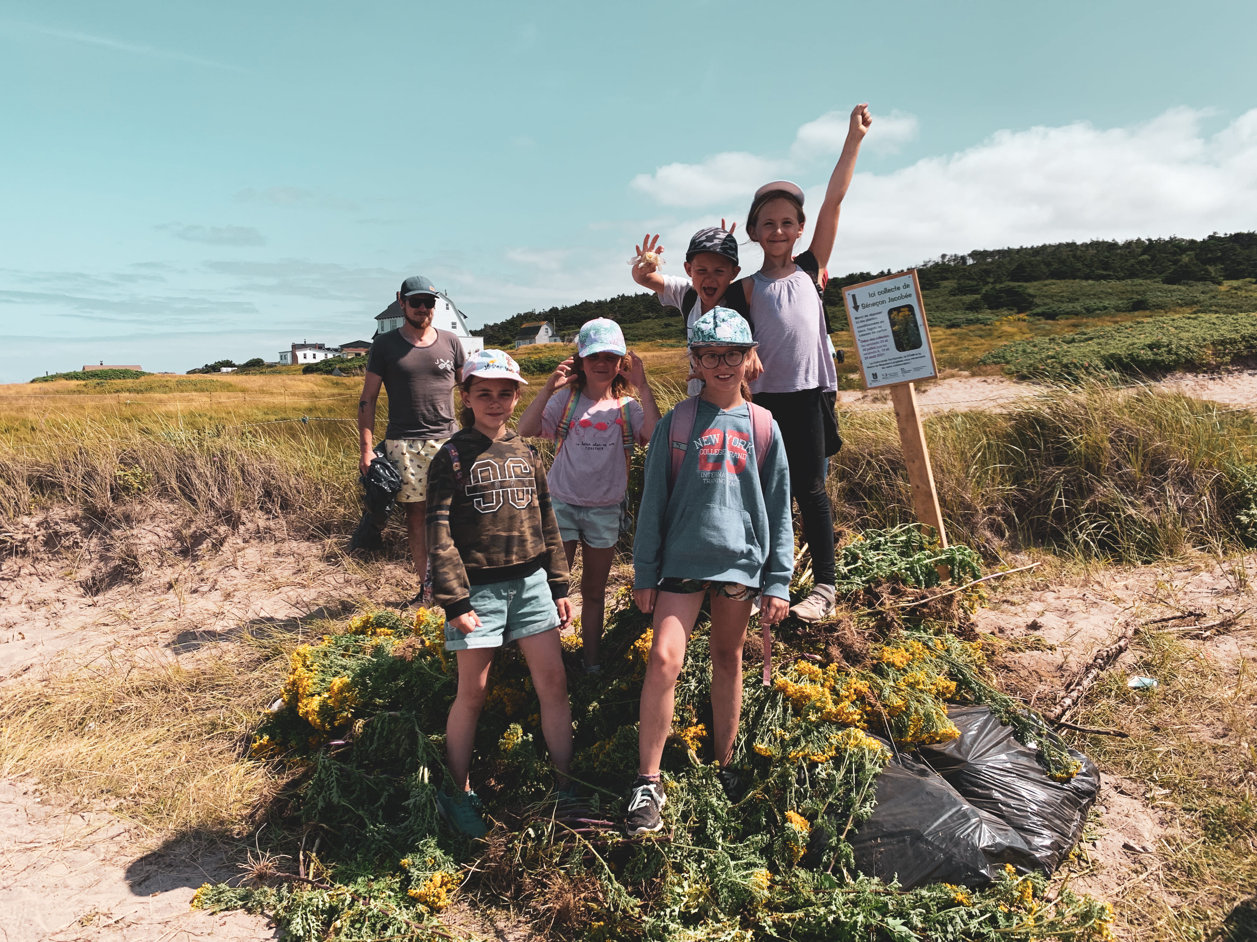 Arrachage de Seneçon avec les enfants © Delphine Gioani