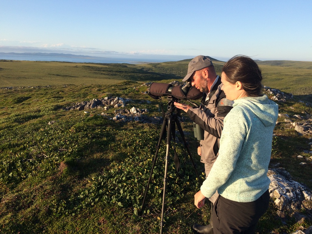 Observations à la longue vue à Saint-Pierre et Miquelon © Nathalie De Lacoste