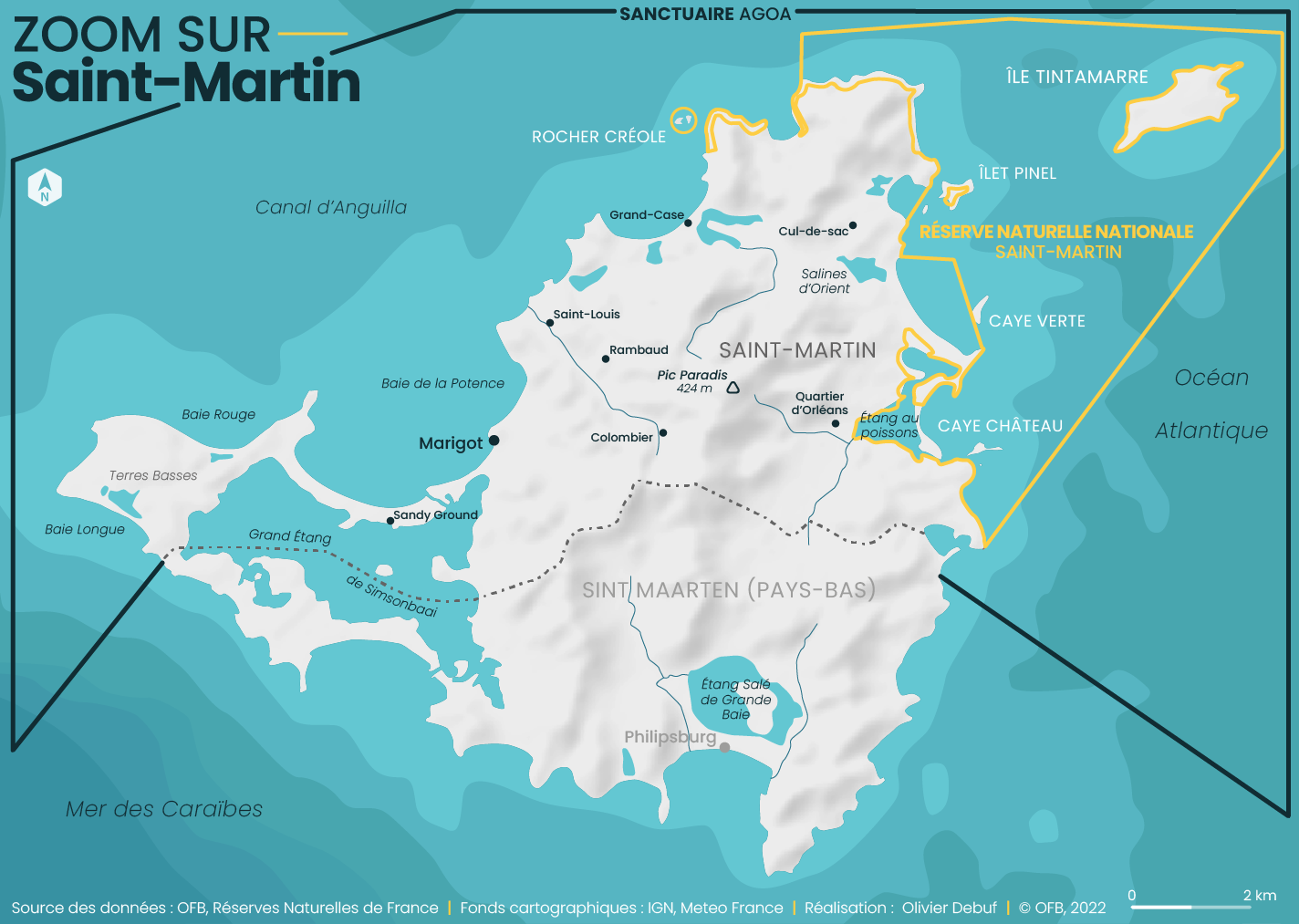 Gérer la population de singes verts  Réserve Nationale Naturelle de  Saint-Martin