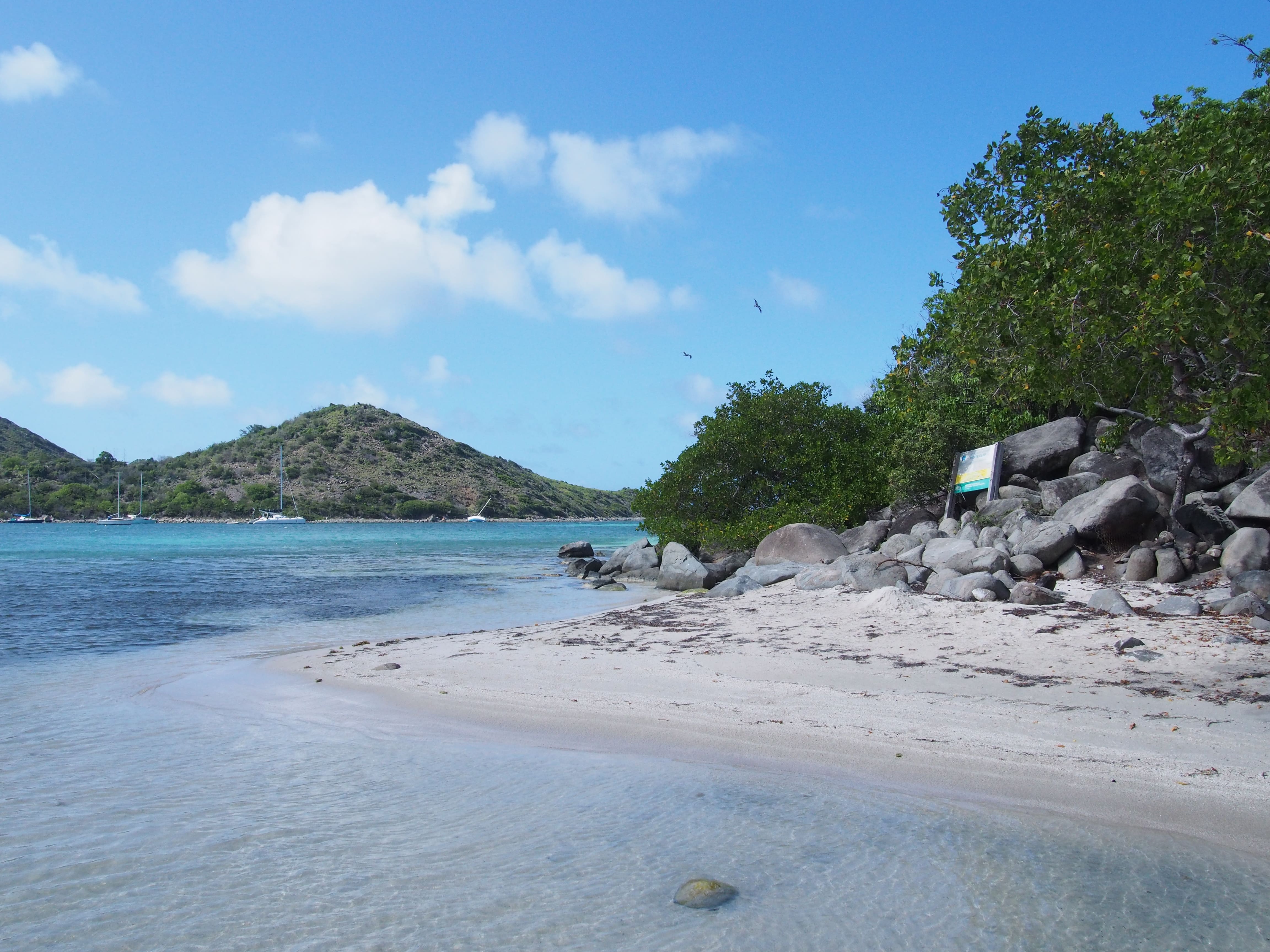 © Réserve naturelle nationale de Saint-Martin