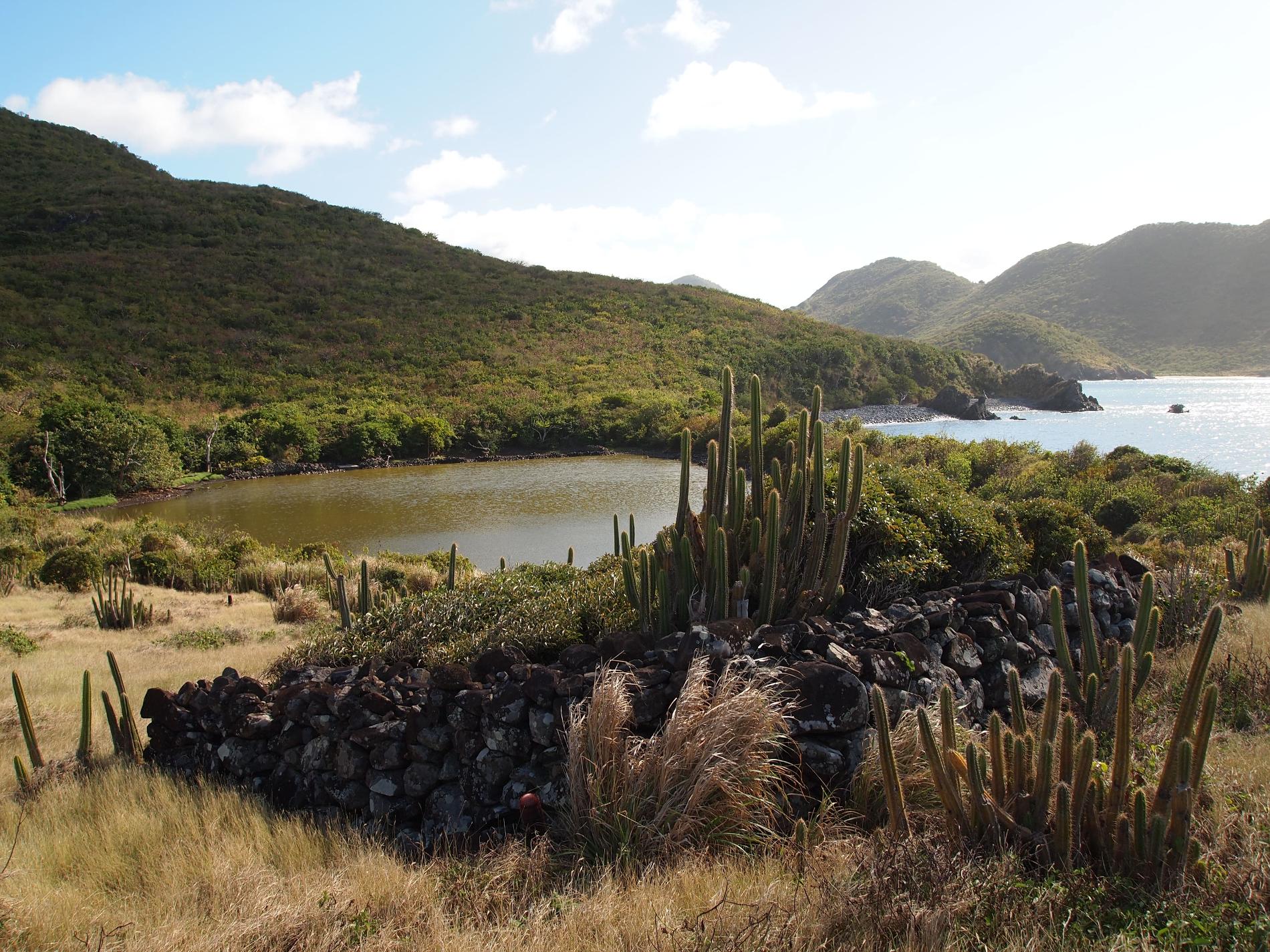 Étang de la Pointe des Froussards © Réserve naturelle nationale de Saint-Martin