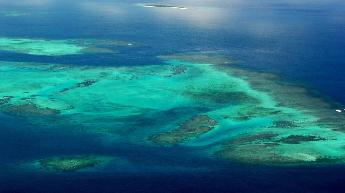 Parc naturel de la Mer de Corail © Anne Littaye / OFB