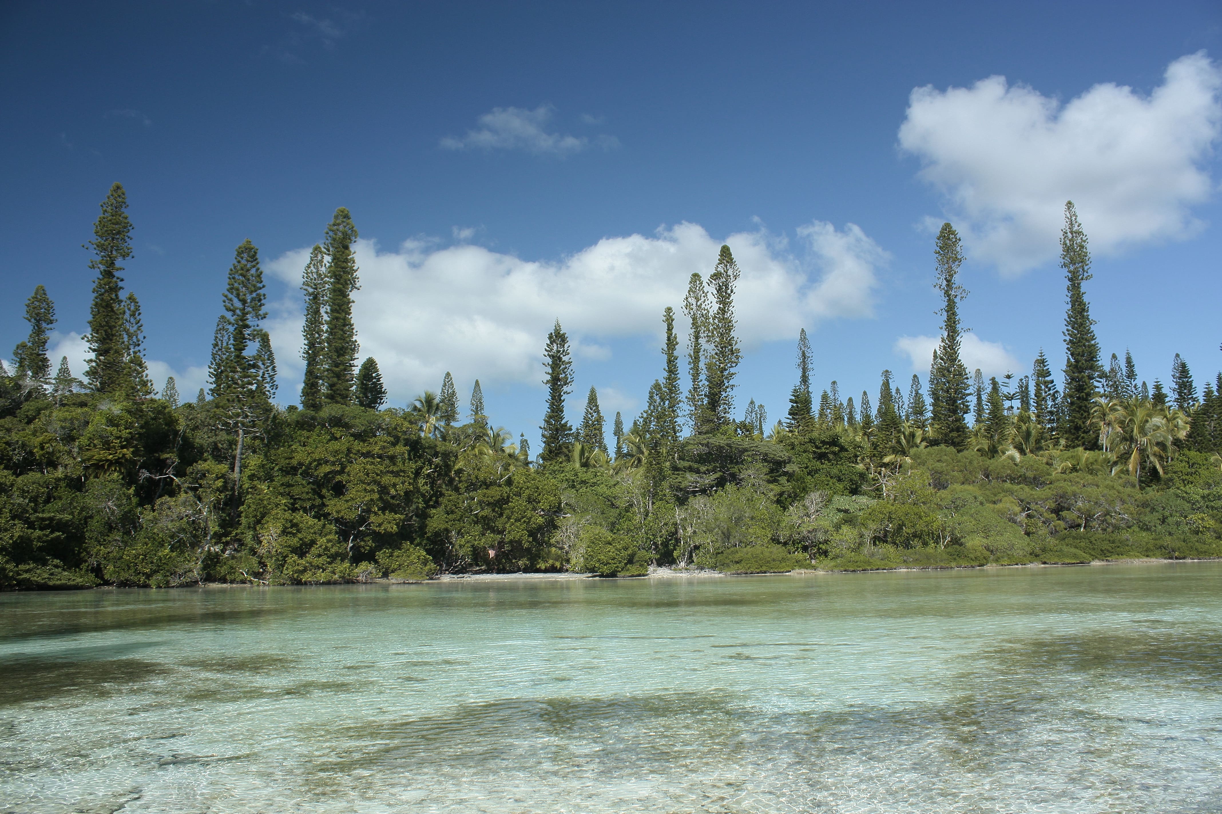 Baie d'Oro, Île des Pins, Nouvelle-Calédonie © Hélène Udo / OFB