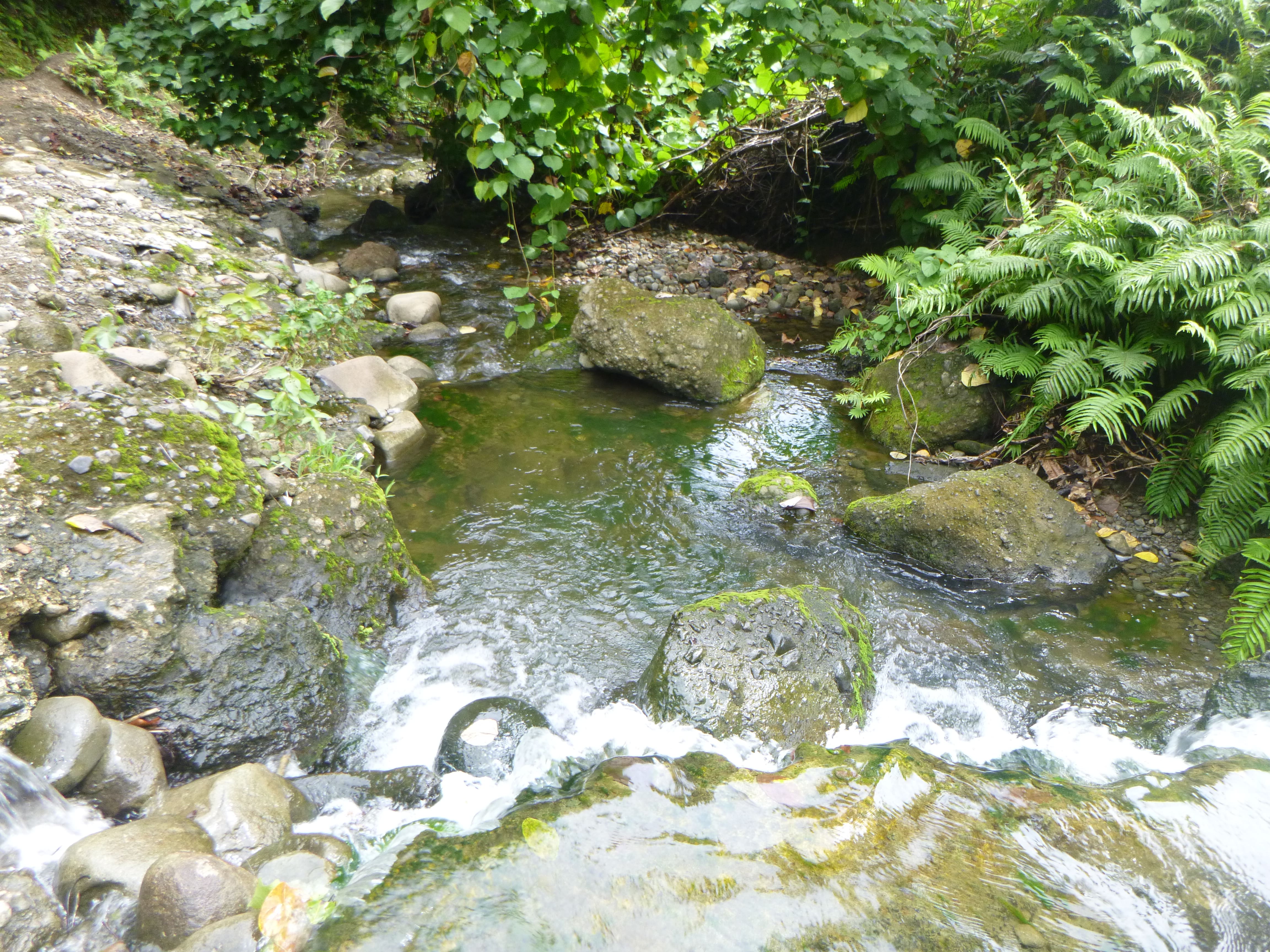 Rivière de Futuna © Jairo Talalua