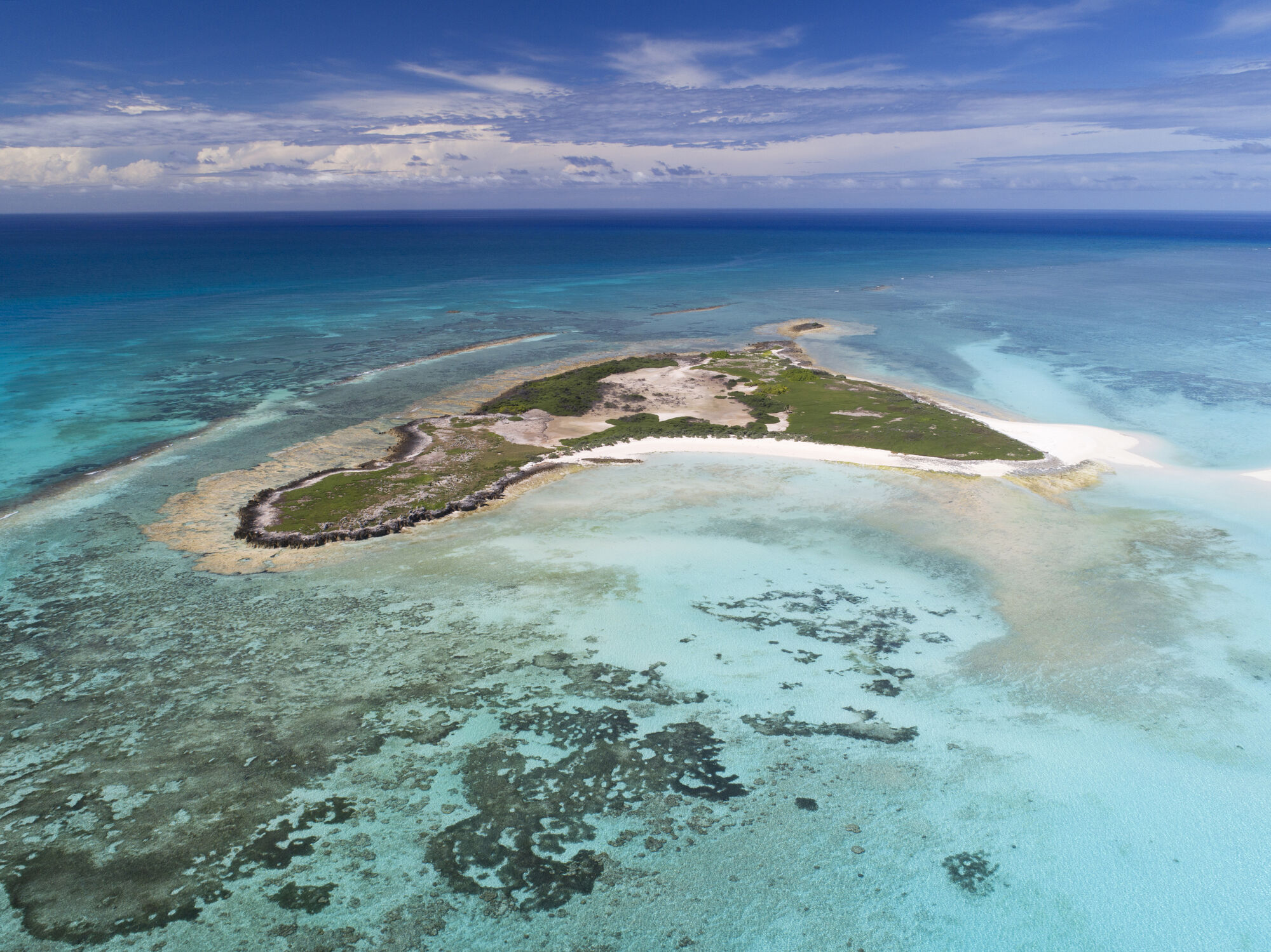 Ile du Lys, archipel des Glorieuses © Hendrik Sauvignet - Office français de la biodiversité