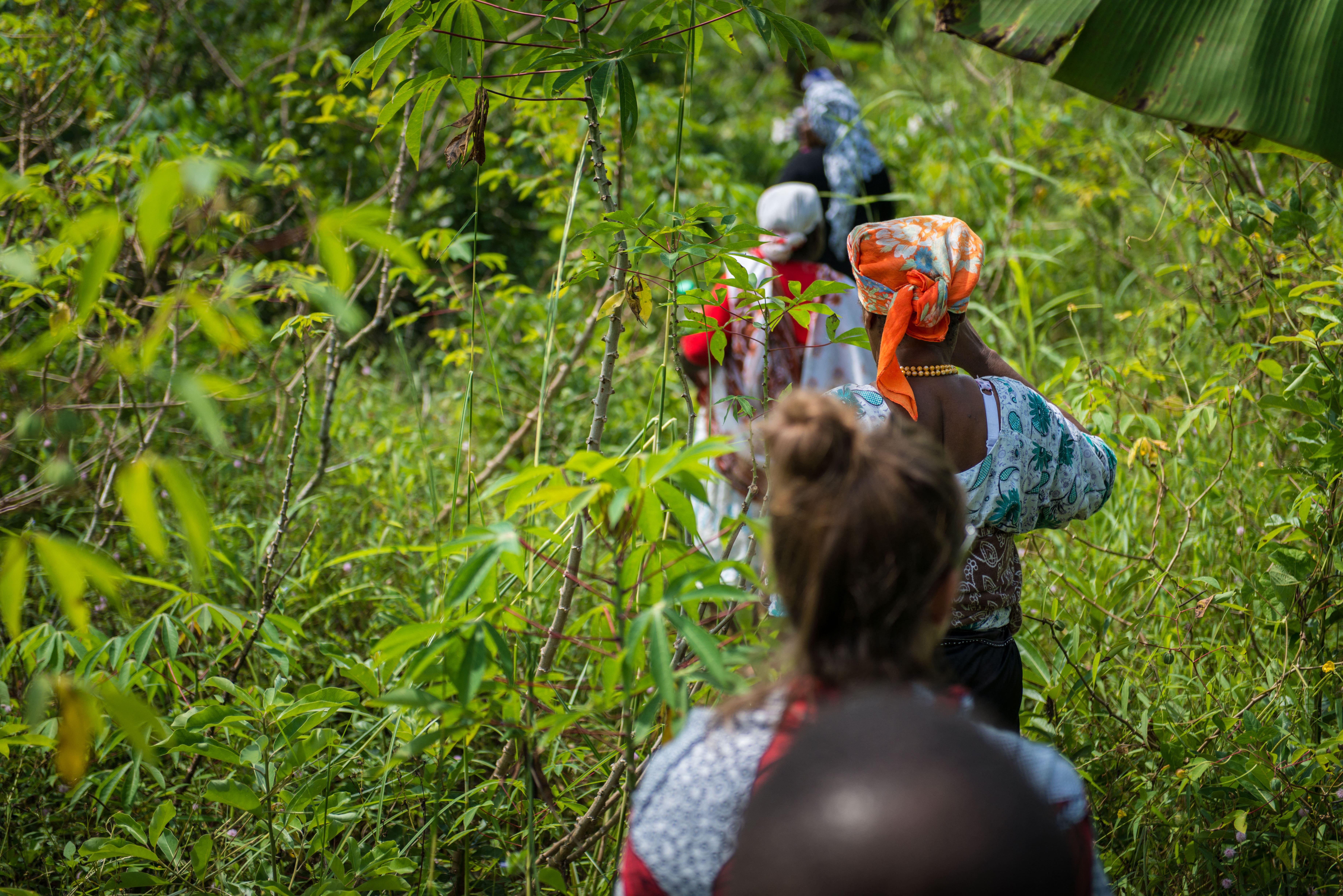 Agricultrices à Mayotte © Bertrand Fanonnel