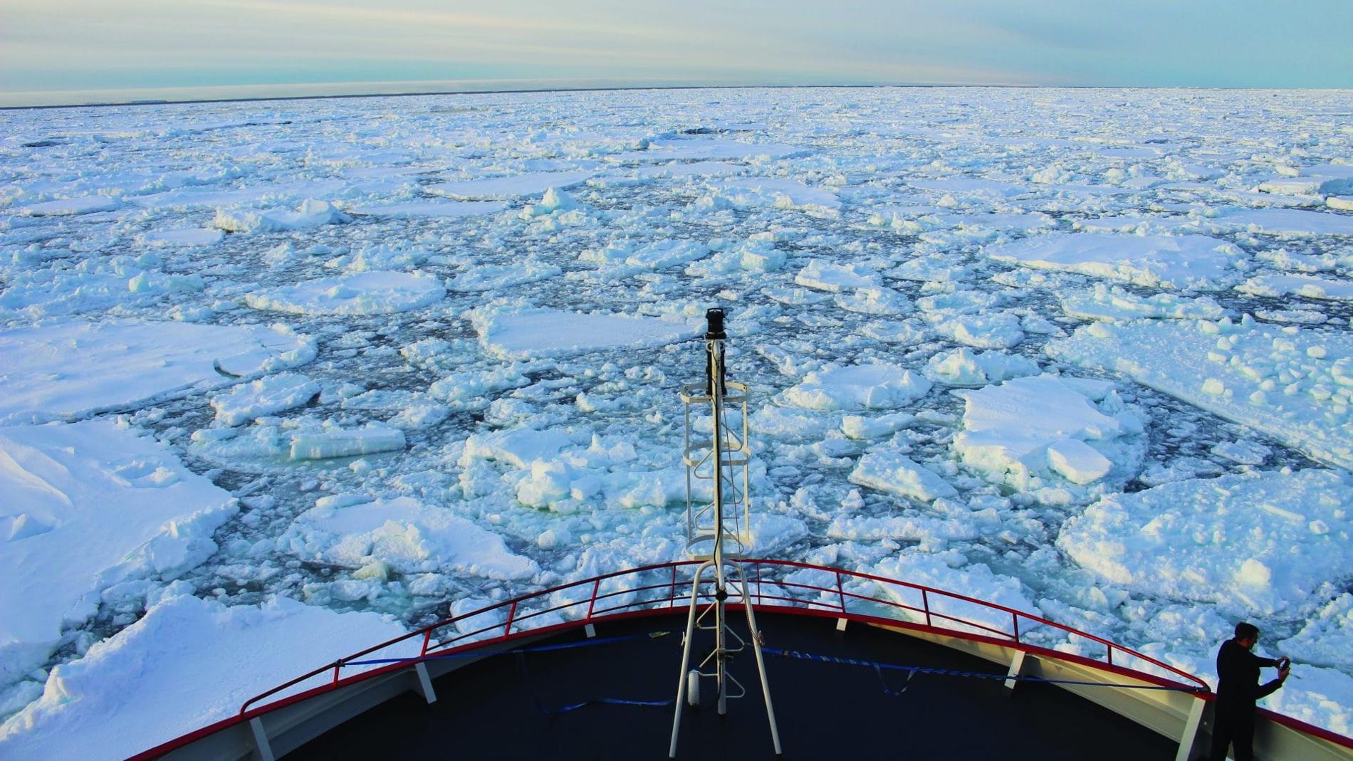 Vue sur les glaces de l'océan Austral depuis l'Astrolabe © P. Piriou - TAAF-IPEV-MN