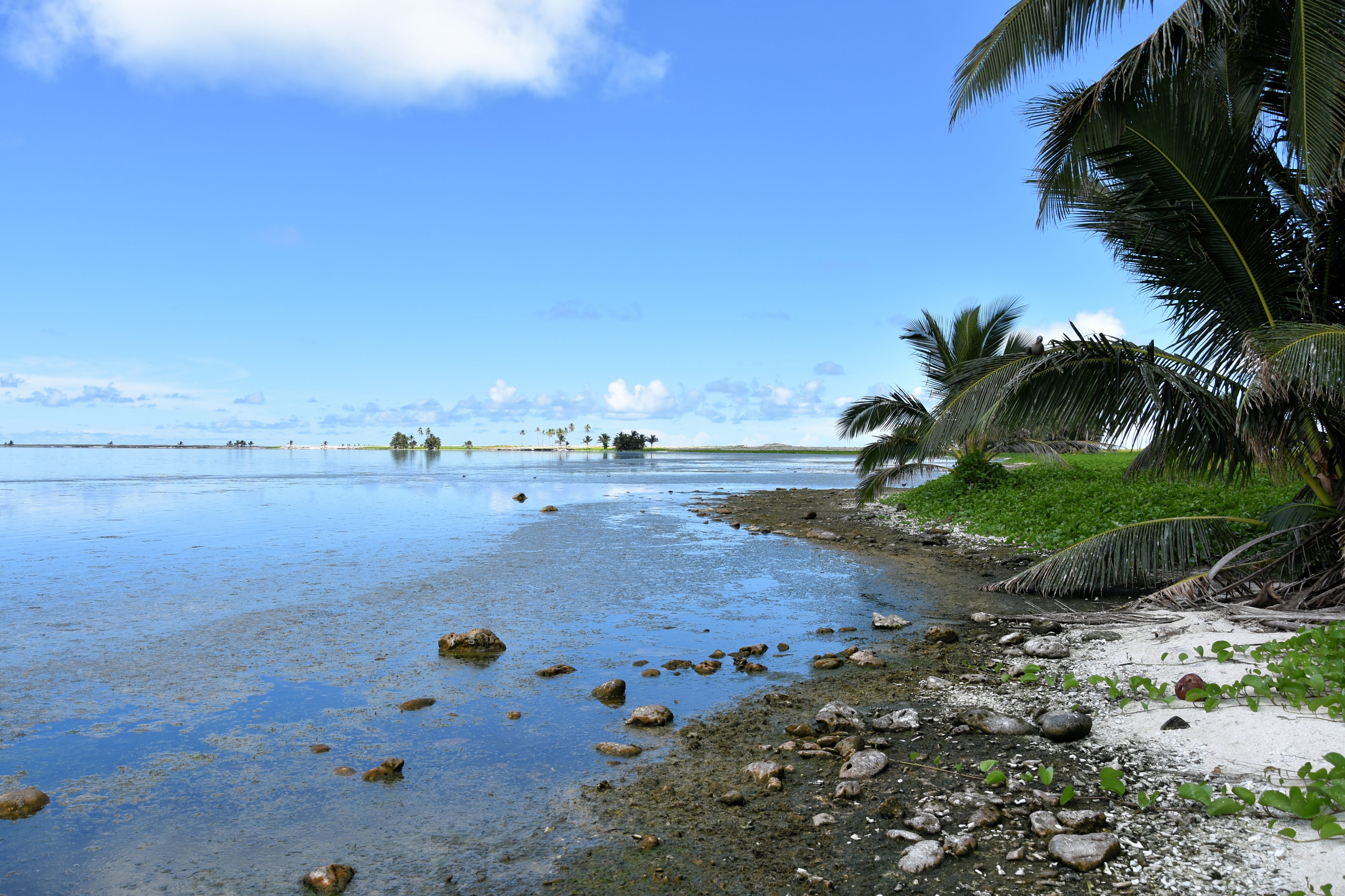 © Tristan Berr - IRD Nouméa