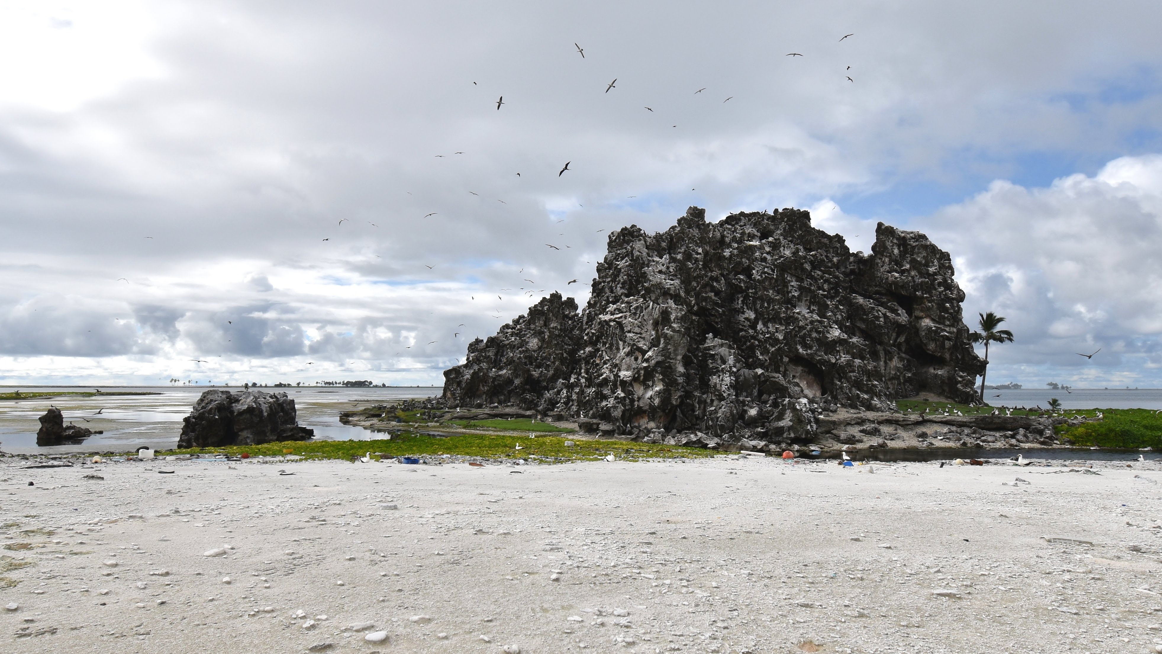 Vue sur le Rocher de Clipperton © Tristan Berr - IRD Nouméa