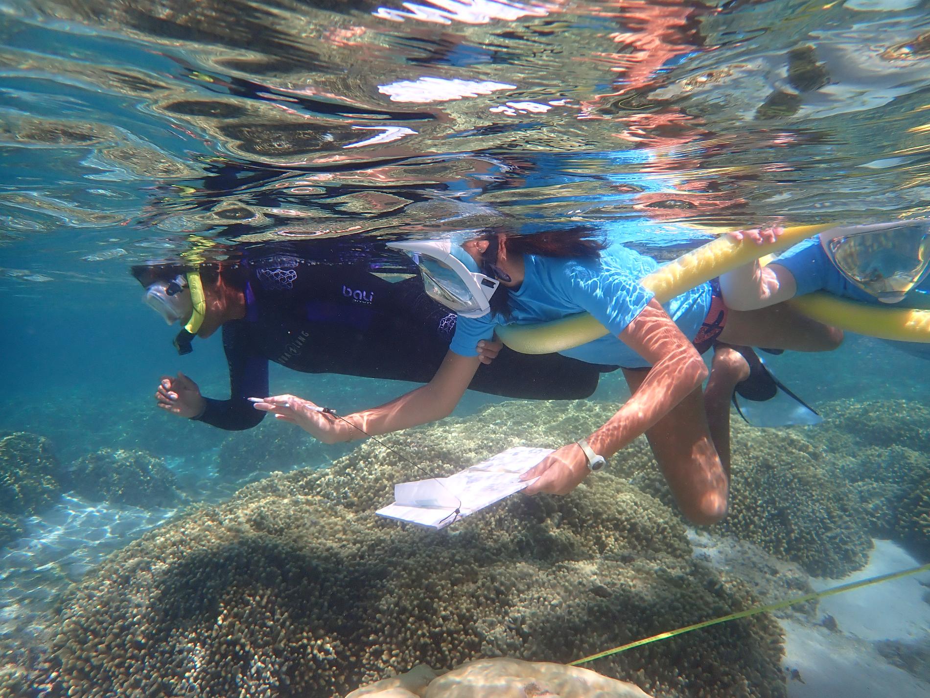 Aire marine éducative de l’Hermitage © Bruce Cauvin GIP Réserve Nationale Marine de La Réunion