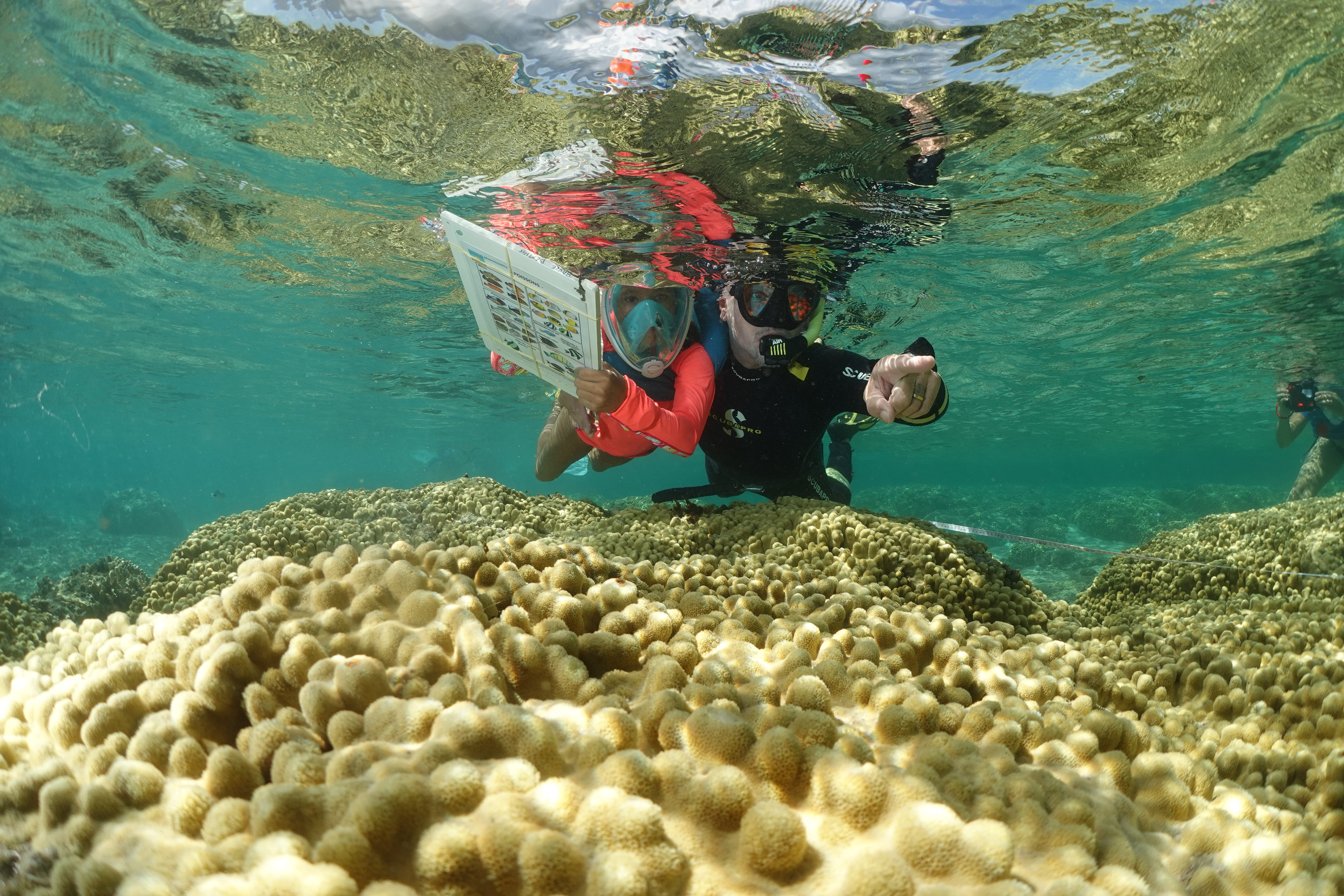 Pierre Petitjean accompagne une élève lors du suivi de l'état de santé du lagon sur l’Aire marine éducative de l’Hermitage © Bruce Cauvin GIP Réserve nationale marine de La Réunion